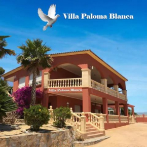 Villa Paloma Blanca, L'albir